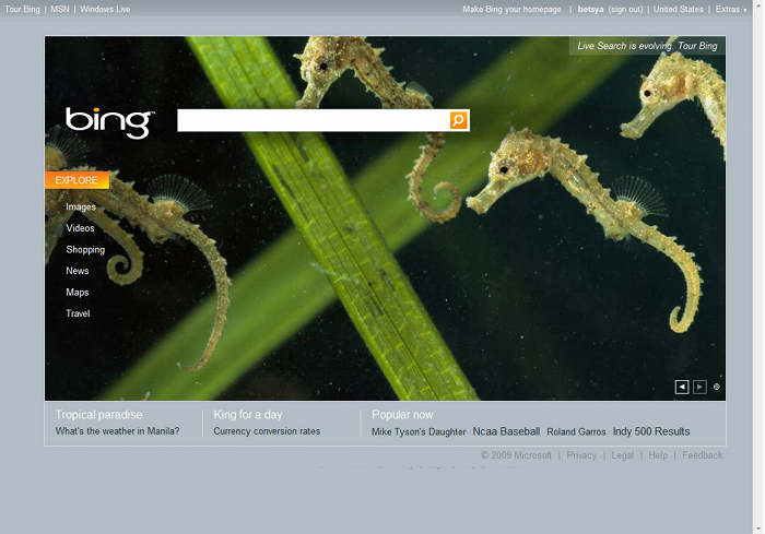 bing_microsoft_1_700x489